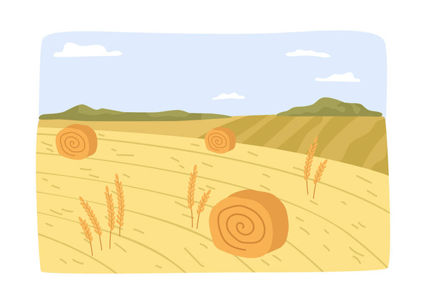 Сельское хозяйство и земледелие, сельский пейзаж с сухими тюками сена и соломой. Сельскохозяйственный бизнес и работа в поле. Деревенская работа выращивать урожай. Вектор в плоском стиле - Вектор,изображение