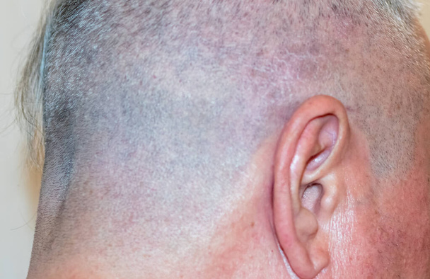 Ухо крупным планом мужчины среднего возраста на фоне коротко обрезанных волос на голове - Фото, изображение