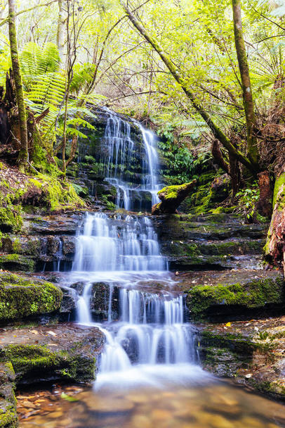 Популярний водоспад Міртл Гуллі, розташований на схилах гори Веллінгтон у теплий весняний день у Гобарті, Тасманія, Австралія. - Фото, зображення