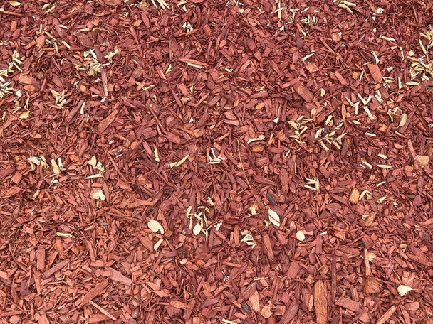 zahradničení krajinářství červená zahrada mulč dřevo štěpky řezané dřevěné štěpky zimní květinové záhony - Fotografie, Obrázek