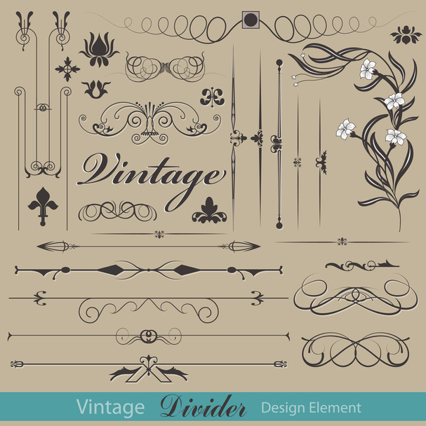Ornament Floral Design Elements Collection - Vector, Image