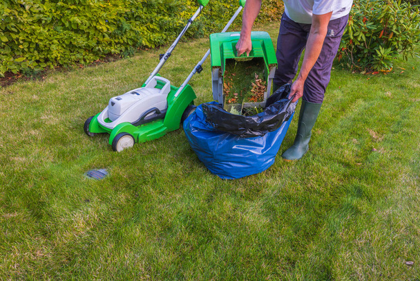 Close up view of man emptying grass mower after cutting grass on green grass background. Sweden.  - Photo, Image