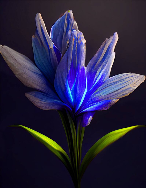  Закрыть магическую голубую, африканскую Лили на полу. 3d render. Мягкий свет сверху. Высокое качество иллюстрации - Фото, изображение