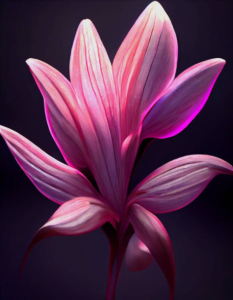 Magical pink African Lily created with the graphics shines on dark background. High quality illustration - Photo, Image