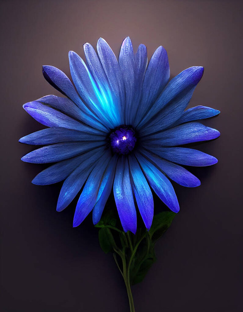  Blízký záběr magické modři, africká Daisy na podlaze. 3D vykreslení. Měkké světlo nahoře. Vysoce kvalitní ilustrace - Fotografie, Obrázek