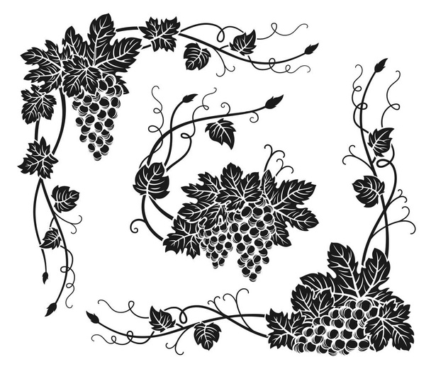 Grape vine corner bunches engraved set. Vintage hand drawn ink outline wine grapes border, floral berry frame. Decorative elements antique engraving design. Sketches for wine packing, menu, card, - Vector, Imagen