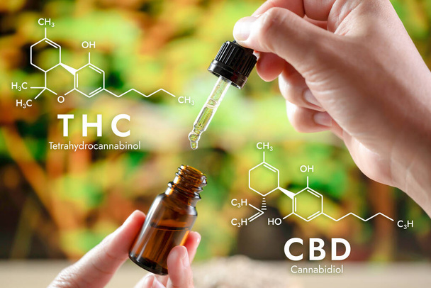 Hands holding a bottle of CBD oil and its dropper lid, with hemp leaf in the backdrop and a hexagon-shaped biochemistry formula. Legalized CBD product for medical purposes. - Photo, Image