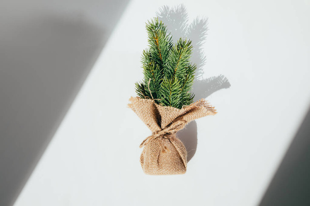 Small green decorative Christmas tree wrapped in burlap with shadows on a white background. Flat lay - Фото, изображение