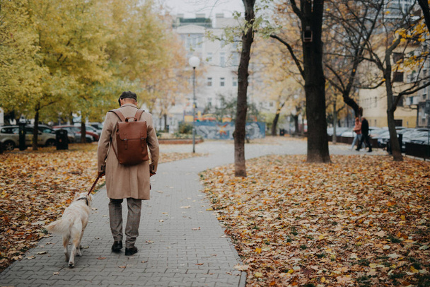 Rear view of elegant senior man walking his dog outdoors in city park during a cold autumn day. - Foto, imagen