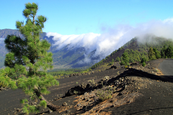 Nemzeti Park Caldera de Taburiente La Palma - Fotó, kép