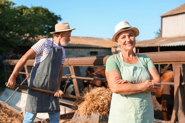 Trabajadora madura cerca de paddock con vacas en granja - Foto, imagen