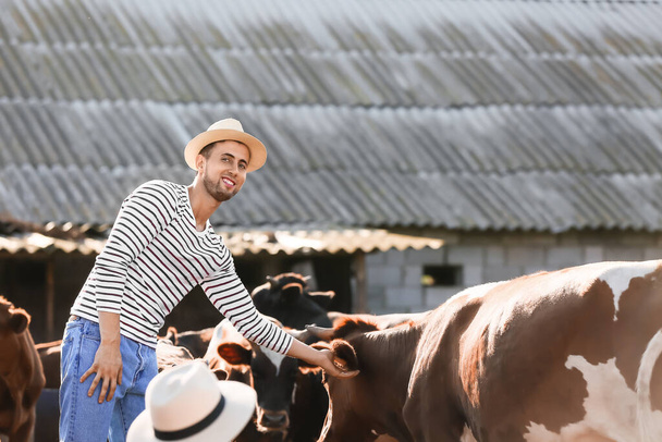 Jóvenes agricultores trabajando en el paddock con vacas al aire libre - Foto, Imagen