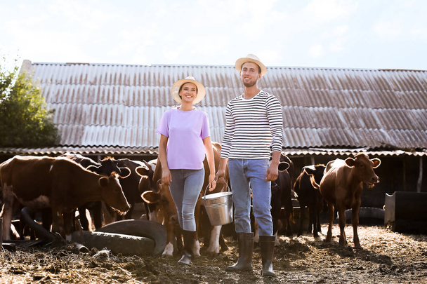 屋外の牛とパドックで働く若い農民 - 写真・画像