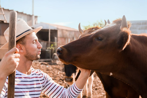 Młody rolnik pracujący na pastwisku z krowami na zewnątrz - Zdjęcie, obraz