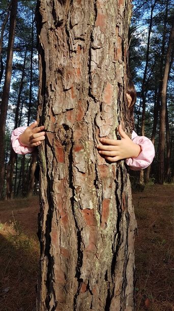 kids hands hugging tree trunk sustainability love protection - Zdjęcie, obraz