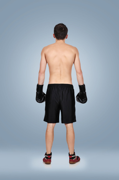 boxer - Фото, зображення