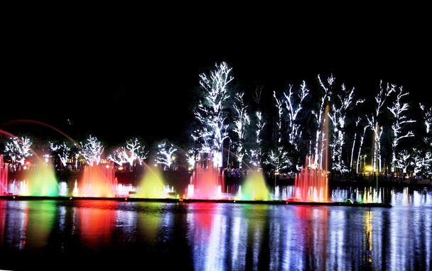 Parque Ibirapuera a noite
 - Foto, Imagem