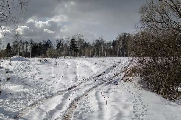 冬の曇りの日 - 写真・画像