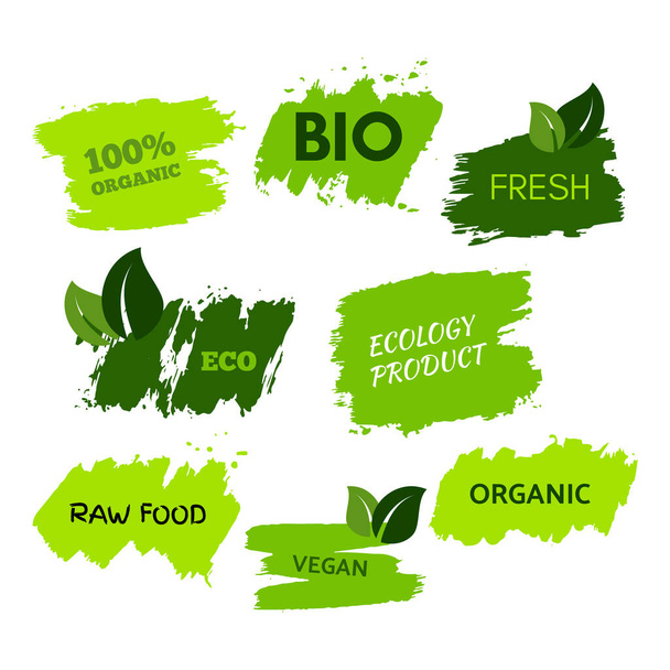 Green natural bio labels. Set of green organic, bio, eco, vegan labels on hand drawn stains. Vector illustration - Vektör, Görsel