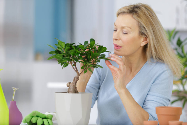 a mature woman with bonsai - Zdjęcie, obraz