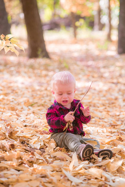 A little boy plays in the autumn park in yellow leaves. Autumn mood - Fotoğraf, Görsel