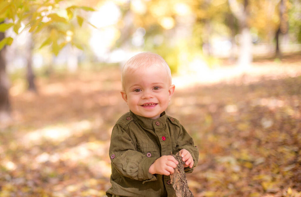 A little boy plays in the autumn park in yellow leaves. Autumn mood - Фото, изображение