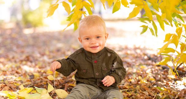 A little boy plays in the autumn park in yellow leaves. Autumn mood - Foto, imagen