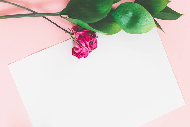Hoja blanca de papel sobre un fondo rosa con hojas verdes y una maqueta rosa seca vista superior. Fondo floral para letras con espacio para copias. - Foto, imagen
