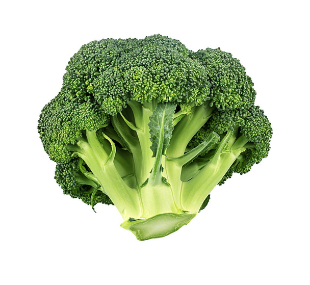 Broccoli isolated on white background. - Zdjęcie, obraz