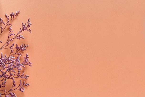 Schöner Blumenschmuck. Fliederblüten, freier Raum für Text auf hellem Pastellgrund. Ansicht von oben, Kopierraum - Foto, Bild