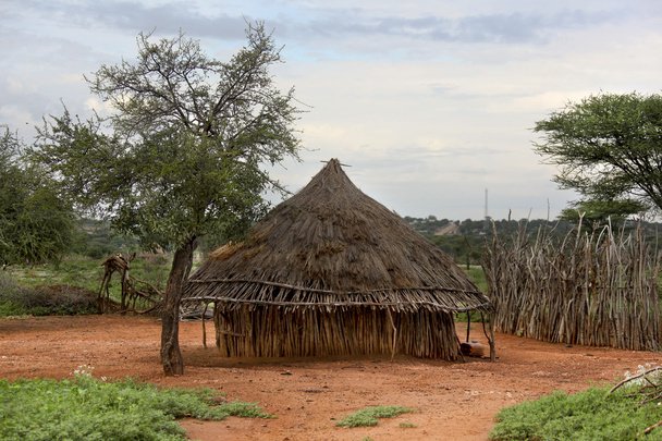 Casas de gente de una tribu Hamer
 - Foto, Imagen