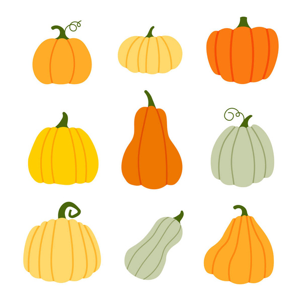 Set of pumpkins in various shapes and colors. Halloween and Thanksgiving day. Autumn decorative element. Hand drawn pumpkin. Vector illustration in trendy flat style isolated on white background. - Вектор,изображение
