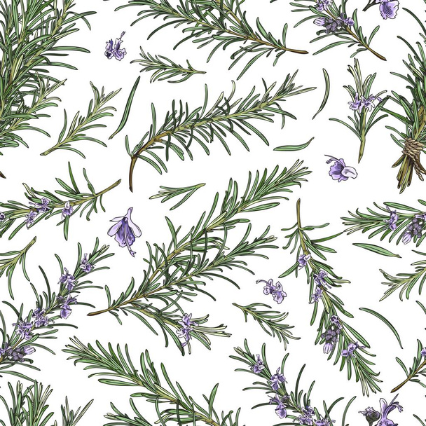 Hand drawn rosemary seamless pattern, colored sketch vector illustration on white background. Aromatic rosemary branches with leaves and flowers. Great for wrapping paper. - Vector, Image
