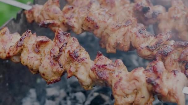 Schweinefleisch am Spieß in Großaufnahme auf dem Grill. Hochwertiges 4k Filmmaterial - Filmmaterial, Video