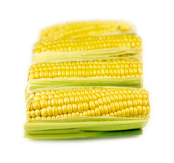 friss kukorica fehér alapon izolálva - Fotó, kép