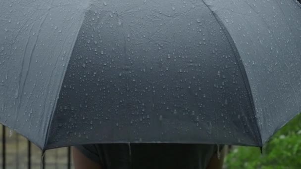 Gri şemsiyeye yağmur yağıyor. Bangkok 'ta akşam yağmurunda gümüş şemsiye. Şemsiyeye düşen yağmur damlaları. Kötü kış yağmurlu mevsimi ya da korunmayı temsil ediyor. Yağmurda insan ve şemsiye. - Video, Çekim