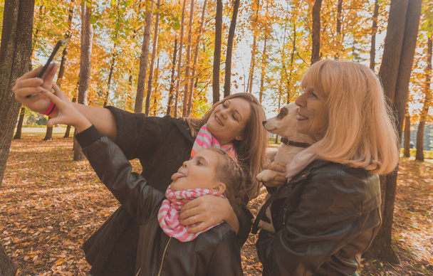 Trois générations de femmes et de chien se sentent amusant regarder la caméra posant pour l'image autoportrait ensemble, drôle excité enfant, maman et grand-mère s'amusent profiter week-end prendre selfie sur gadget à l'automne - Photo, image