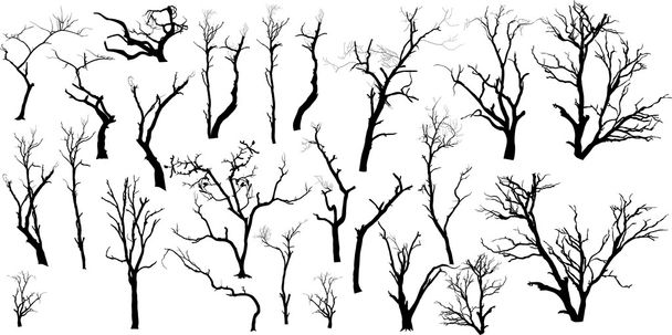 Isolated Dead Trees Set - Vector, Image
