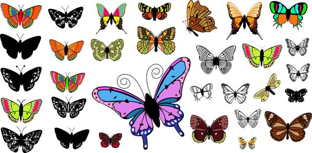 Belle collection de papillons
 - Vecteur, image