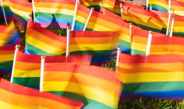fondo de muchas banderas pequeñas del orgullo del arco iris en palos blancos en la hierba borrosa por la exposición larga mientras que sopla en el viento - Foto, Imagen