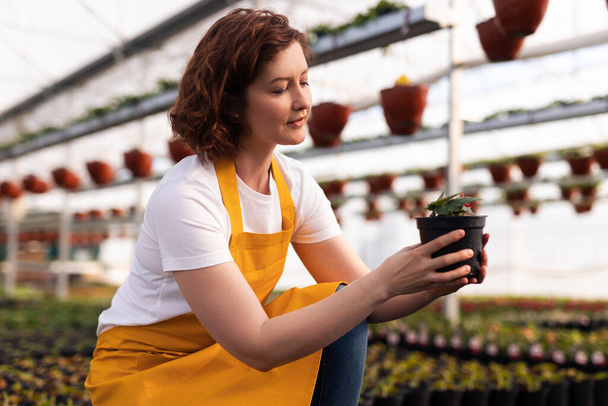 Happy young female gardener with curly ginger hair in white t shirt and yellow apron, sitting on haunches with potted plant in hand in greenhouse - Fotó, kép
