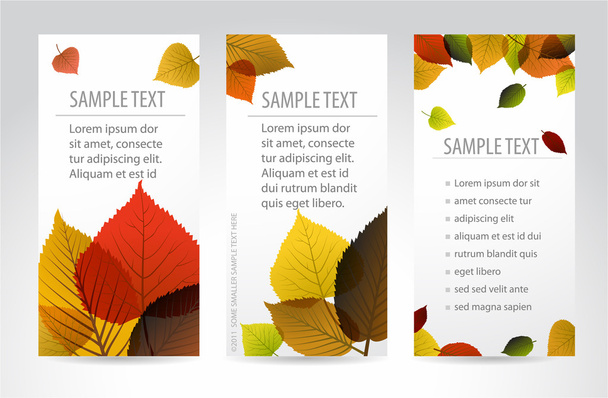 Fresh natural autumn vertical banners with leafs - Vector, Image