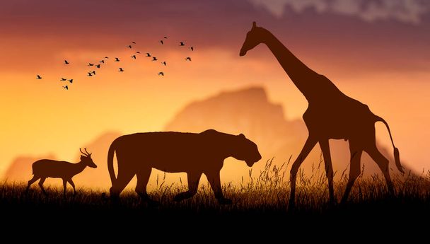 Día Mundial de la Vida Silvestre Grupos de bestias salvajes se reunieron en grandes manadas en el campo abierto en la noche cuando el sol dorado estaba brillando. - Foto, imagen
