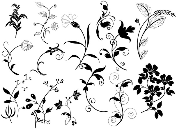 Lindo conjunto de elementos florales retro
 - Vector, Imagen