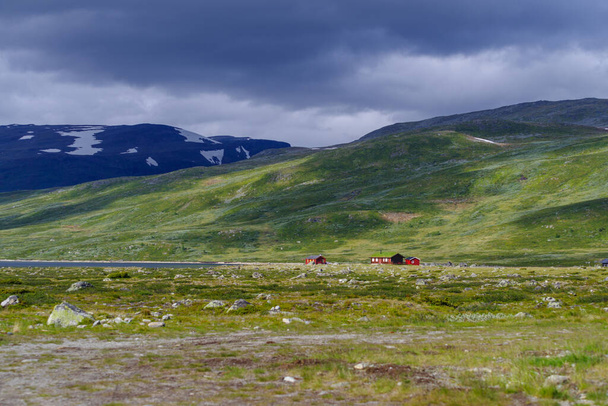 typical norwegian houses in a beautiful green mountain landscape - Фото, зображення