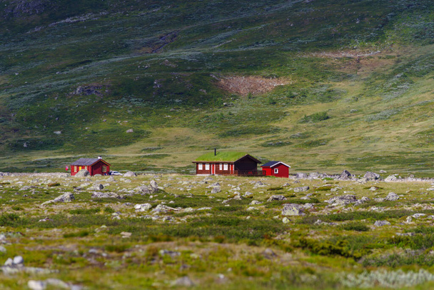 typical norwegian houses in a beautiful green mountain landscape - Photo, Image