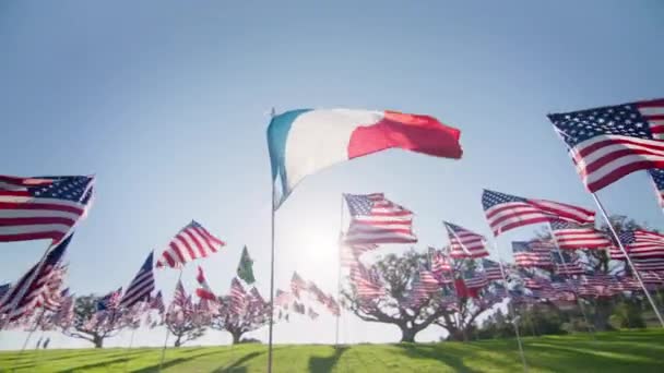 Флаг Франции. Государственный флаг Франции на красной камере. Видео French Flags Slow Motion. Трехцветный флаг Франции. Американские флаги в движении на заднем плане. Вокруг французского флага с солнечной вспышкой в голубом небе - Кадры, видео