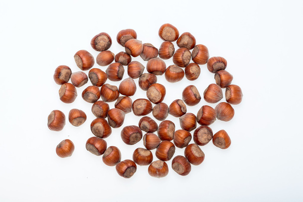 Pile of hazelnuts isolated on white background - Photo, image