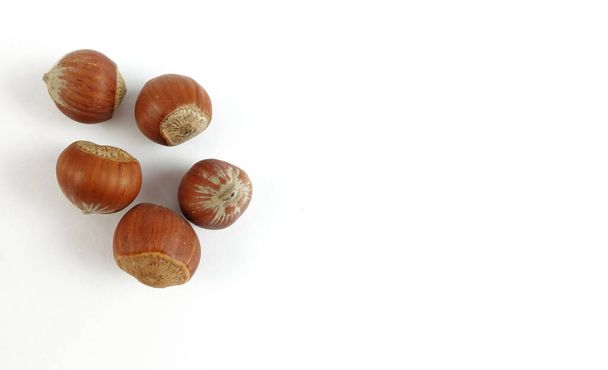 group of Close up huzelnut on white background. High quality photo - Фото, изображение