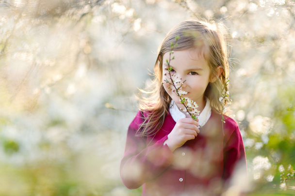 Little girl in blooming cherry garden - Фото, изображение